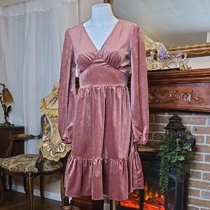 NWOT SHEIN Velvet Longsleeve Dress XS Dusty Pink